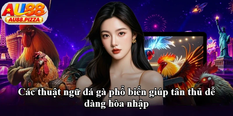 Các thuật ngữ đá gà phổ biến giúp tân thủ dễ dàng hòa nhập