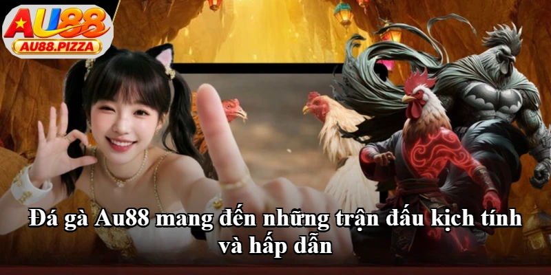 Đá gà Au88 mang đến những trận đấu kịch tính và hấp dẫn Đá gà Au88 mang đến những trận đấu kịch tính và hấp dẫn