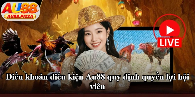 Điều khoản điều kiện Au88 quy định quyền lợi hội viên