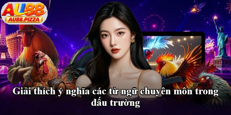 Giải thích ý nghĩa các từ ngữ chuyên môn trong đấu trường