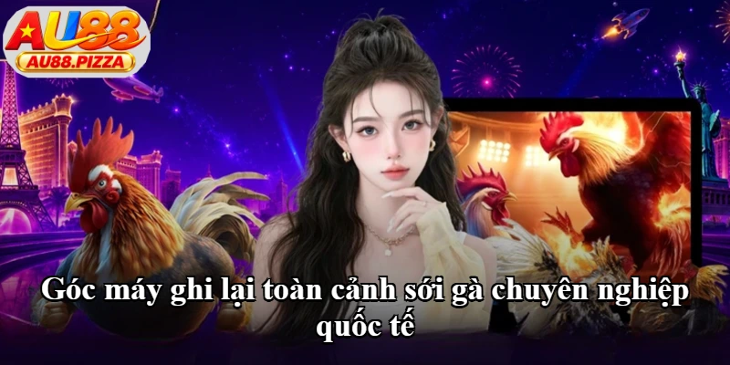 Góc máy ghi lại toàn cảnh sới gà chuyên nghiệp quốc tế Góc máy ghi lại toàn cảnh sới gà chuyên nghiệp quốc tế