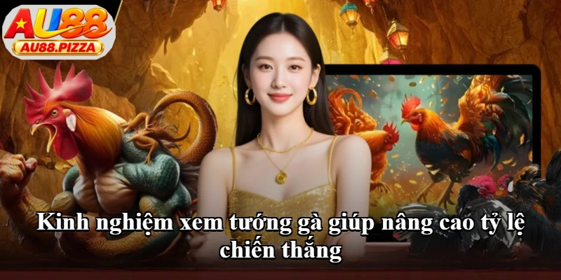 Kinh nghiệm xem tướng gà giúp nâng cao tỷ lệ chiến thắng Kinh nghiệm xem tướng gà giúp nâng cao tỷ lệ chiến thắng