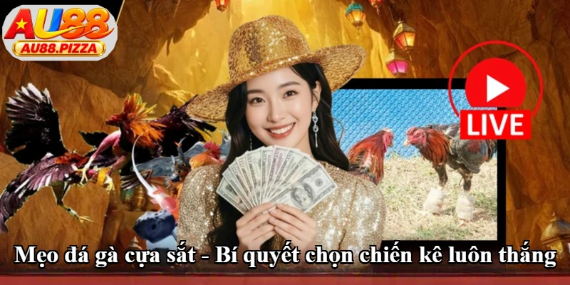 Mẹo Đá Gà Cựa Sắt - Bí Quyết Chọn Chiến Kê Luôn Thắng