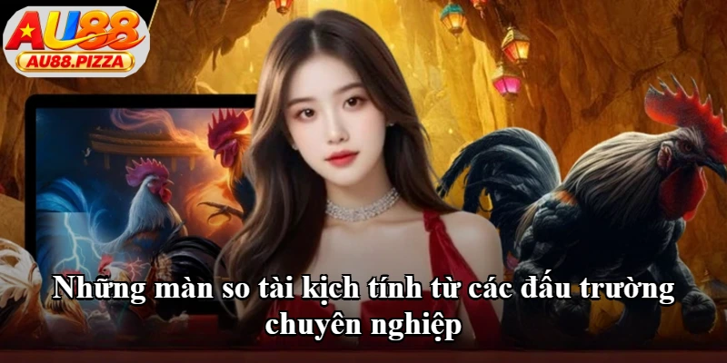 Những màn so tài kịch tính từ các đấu trường chuyên nghiệp Những màn so tài kịch tính từ các đấu trường chuyên nghiệp