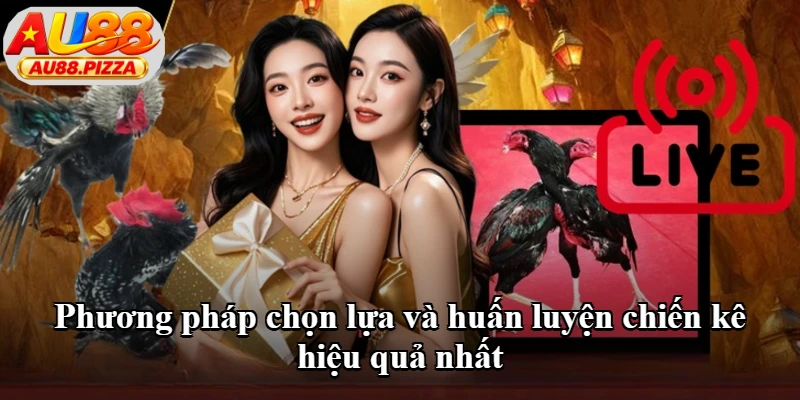 Phương pháp chọn lựa và huấn luyện chiến kê hiệu quả nhất Phương pháp chọn lựa và huấn luyện chiến kê hiệu quả nhất
