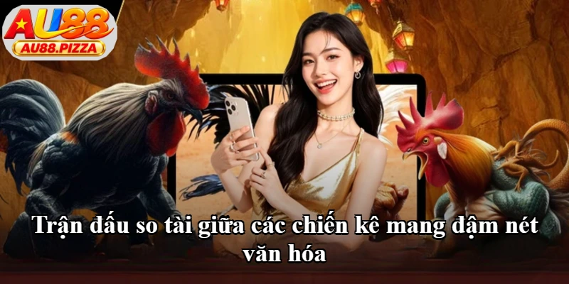 Trận đấu so tài giữa các chiến kê mang đậm nét văn hóa Trận đấu so tài giữa các chiến kê mang đậm nét văn hóa