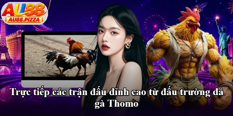 Trực tiếp các trận đấu đỉnh cao từ đấu trường đá gà Thomo Trực tiếp các trận đấu đỉnh cao từ đấu trường đá gà Thomo